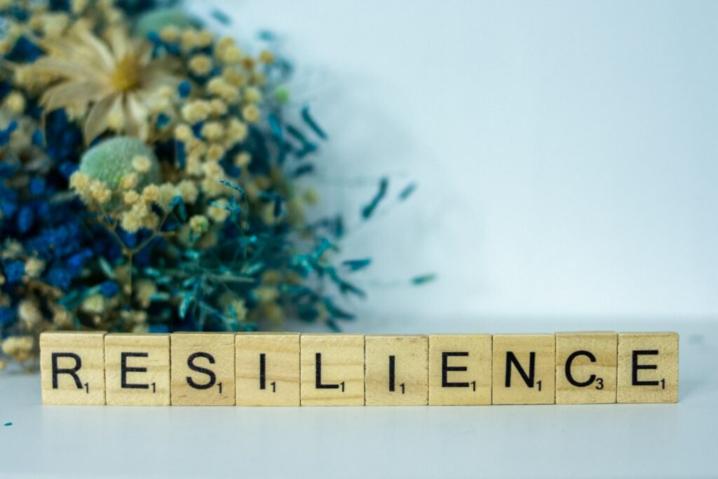 Resilience in the Face of Adversity: How Attitude Can Change Your Life