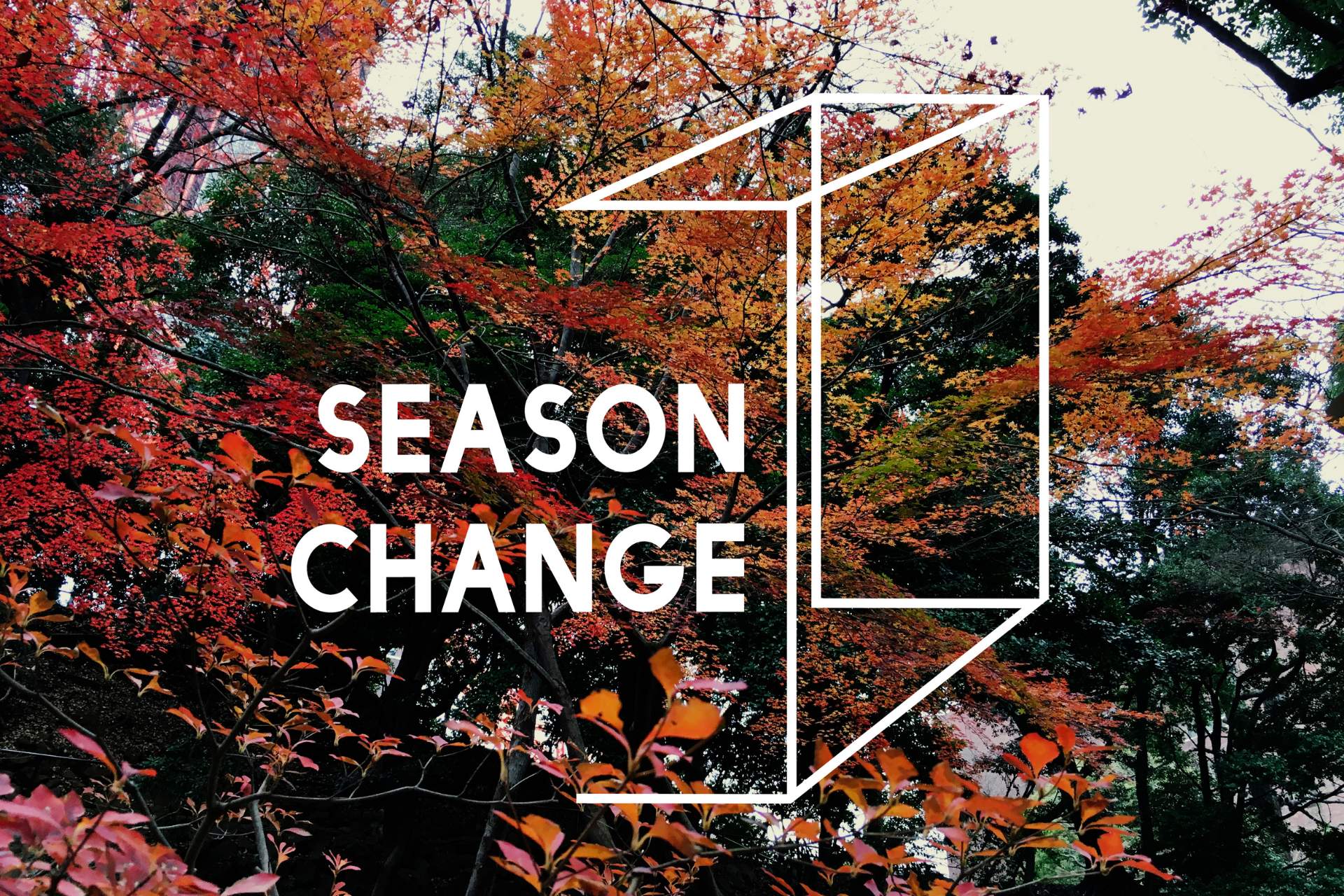 The Season of Transformation: Breaking Cycles and Welcoming Change with the Autumn Equinox